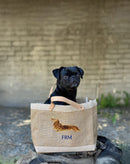 The Limited Pets Collection: Inspired by Your Best Friends