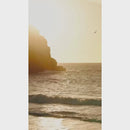 Market Bag in Cobalt