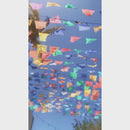 Mercado Woven in Black