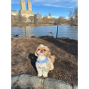 Petite Market Bag in Natural Shih Tzu by Amy Logsdon